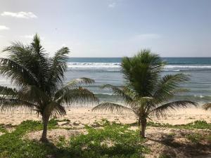 two palm trees on a beach with the ocean at Crystal Beach, vue mer, accès direct plage et piscine, clim in Sèze