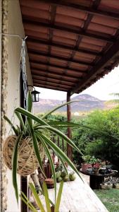 Eine Topfpflanze hängt von einer Veranda mit einem Dach in der Unterkunft Pousada Guiné in Mucugê