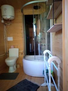 een badkamer met een bad, een toilet en een douche bij Mazurskisen in Mrągowo