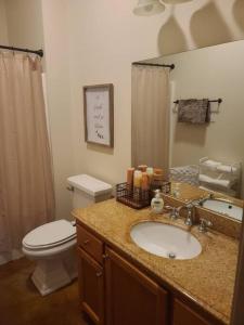 a bathroom with a sink and a toilet and a shower at Villa 7 in Hammond
