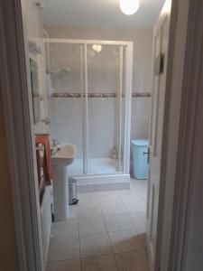 a bathroom with a shower and a sink at Mels accomodation in Letterkenny