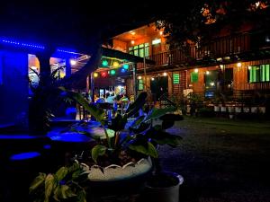 a plant in a pot on a patio at night at Pitaya Native Guest House in Panglao