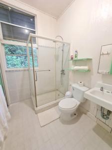Gallery image of Drago Beach House - Private Beach in Boca del Drago