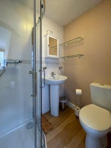a bathroom with a toilet and a sink and a shower at Glasfryn Cottage Dolgellau in Dolgellau +34 photos