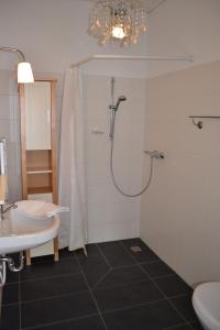 ein Bad mit einer Dusche, einem WC und einem Waschbecken in der Unterkunft Wassersportzentrum Alte Feuerwache in Brandenburg an der Havel
