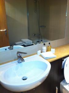 a bathroom with a sink and a large mirror at Beautiful apartment central location in Dublin