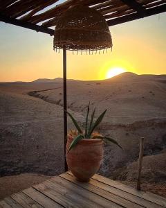 une plante en pot assise sur une table dans le désert dans l'établissement Agafay Luxury camp, à Marrakech
