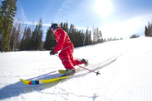 Skifaciliteter ved villaen eller i nærheden