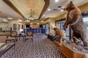 Fotografie z fotogalerie ubytování Best Western Dunmar Inn v destinaci Evanston