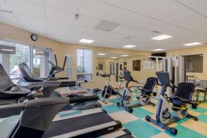 Fitness centrum a/nebo fitness zařízení v ubytování Best Western PLUS Chemainus Inn