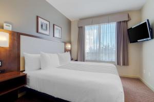 Postel nebo postele na pokoji v ubytování Best Western PLUS Chemainus Inn