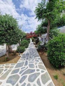 Um jardim em Acrogiali Beachfront Hotel Mykonos