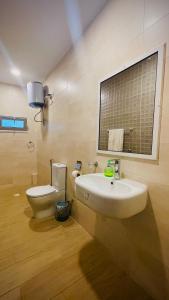 W łazience znajduje się umywalka, toaleta i lustro. w obiekcie Le Baobab w mieście Bamako