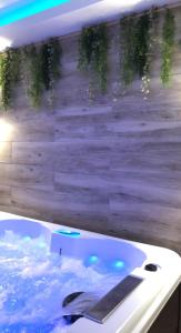 Paradis Du Nord في Wallers: حوض استحمام مملوء بالماء بجوار جدار خشبي