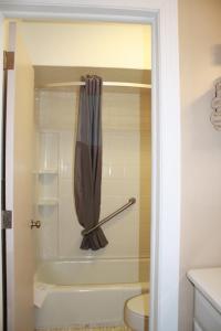 La salle de bains est pourvue d'un rideau de douche et de toilettes. dans l'établissement Rockbridge Inn, à Lexington
