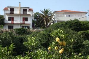 Vonkajšia záhrada v ubytovaní Apartments and rooms by the sea Jelsa, Hvar - 4602