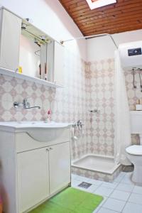 a bathroom with a sink and a shower and a toilet at Apartments by the sea Brna, Korcula - 5902 in Smokvica