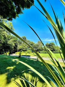 a view of a golf course from behind some palm trees at CAYORETREAT STATIC CARAVAN 