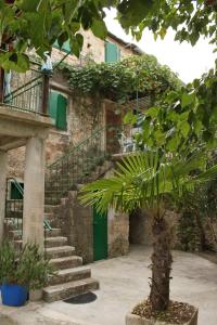 a stone building with a green door and a palm tree at Holiday house with WiFi Dol, Brac - 5674 in Postira
