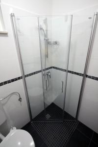 a shower stall in a bathroom with a toilet at Apartments by the sea Vinjerac, Zadar - 5811 in Vinjerac +26 photos
