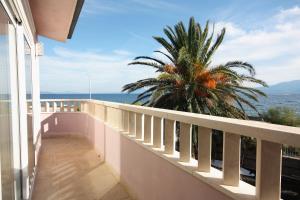 a balcony with a palm tree and the ocean at Apartments by the sea Sucuraj, Hvar - 5680 in Sućuraj