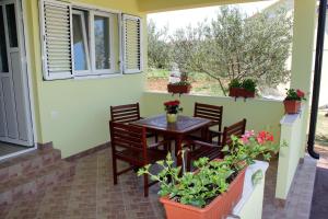 Zahrada ubytování Family friendly apartments with a swimming pool Drage, Biograd - 5904