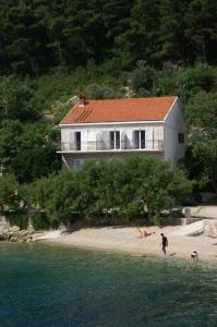 a house on a beach with a person and a dog at Double Room Trstenik 4566c in Trstenik
