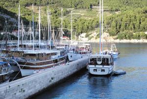 a group of boats docked at a dock in the water at Double Room Trstenik 4566c in Trstenik