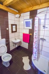 W łazience znajduje się toaleta, wanna i umywalka. w obiekcie Seaside secluded apartments Cove Skozanje, Hvar - 5713 w mieście Gdinj