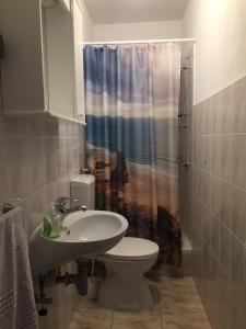 a bathroom with a toilet and a sink and a shower at Apartments by the sea Basina, Hvar - 5700 in Vrboska