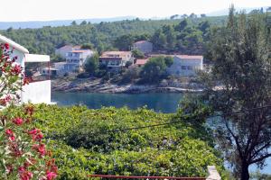 a view of a river with houses and trees at Apartments by the sea Basina, Hvar - 5700 in Vrboska