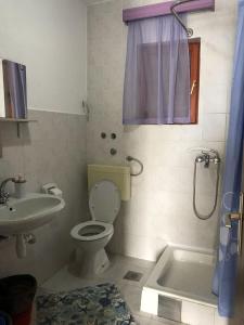 W łazience znajduje się toaleta, umywalka i prysznic. w obiekcie Seaside secluded apartments Cove Pobij, Hvar - 5712 w mieście Gdinj