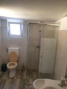 ein Bad mit einer Dusche, einem WC und einem Waschbecken in der Unterkunft Holiday house with a parking space Zavala, Hvar - 5702 in Zavala
