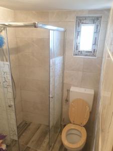 ein Bad mit einem WC und einer Dusche in der Unterkunft Holiday house with a parking space Zavala, Hvar - 5702 in Zavala