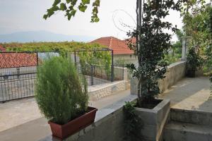 Zahrada ubytování Apartments by the sea Postira, Brac - 5672
