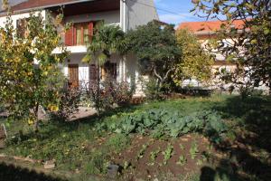 Vonkajšia záhrada v ubytovaní Apartments with a parking space Biograd na Moru, Biograd - 5899