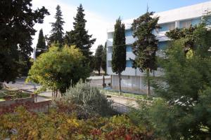 Vonkajšia záhrada v ubytovaní Apartments with a parking space Biograd na Moru, Biograd - 5899