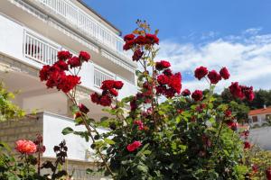Fotografia z galérie ubytovania Apartments with a parking space Hvar - 5719 v destinácii Hvar