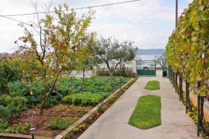 Zahrada ubytování Apartments by the sea Bibinje, Zadar - 5866