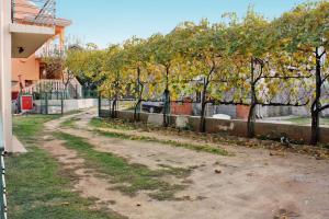 Zahrada ubytování Apartments by the sea Bibinje, Zadar - 5866