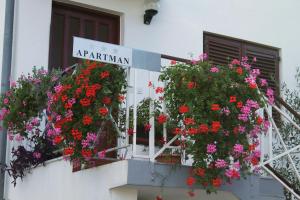 Zdjęcie z galerii obiektu Apartments by the sea Biograd na Moru, Biograd - 5744 w Biogradzie na Moru +12 zdjęć