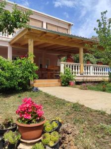 Vonkajšia záhrada v ubytovaní Apartments with a parking space Sukosan, Zadar - 5888 + 11 fotografií