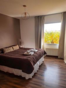 a bedroom with a large bed and a window at South Apartments in El Calafate