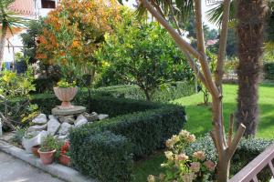 Ogród w obiekcie Apartment Zadar - Diklo 5880d