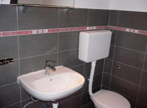 La salle de bains est pourvue d'un lavabo et de toilettes. dans l'établissement Apartments with a parking space Sukosan, Zadar - 5820, à Sukošan