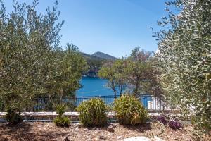 a view of a lake from behind some trees at Apartments by the sea Cove Pokrivenik, Hvar - 4604 in Gdinj
