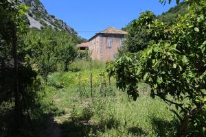 Príroda v okolí apartmánu