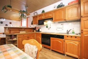 Kuchyň nebo kuchyňský kout v ubytování Apartment Lumbarda 4440f + 18 fotografií