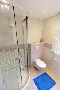 łazienka z prysznicem i toaletą w obiekcie Apartment Skozanje 5713d w mieście Gdinj +17 zdjęć