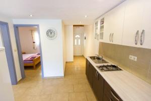Kuchyňa alebo kuchynka v ubytovaní Apartment Skozanje 5713d